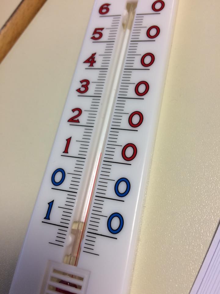 16195638_10211960891047103_1060392605593302994_n